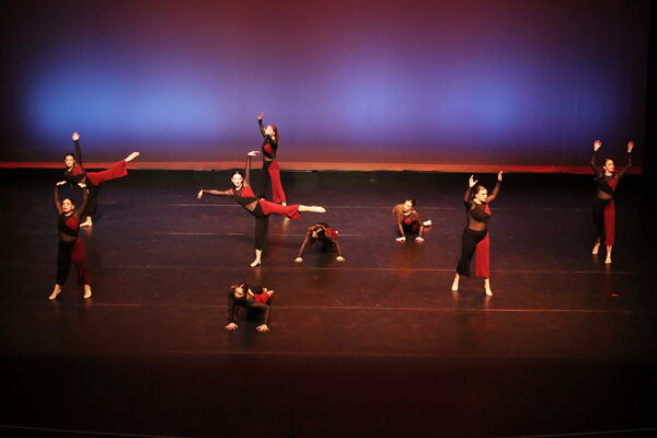 Keywords: Sofia_C; Georgia_C; Abby_H; Lauren_H; Halie_J; Olivia_K; Rosie_K; Jessica_M; Ella_S