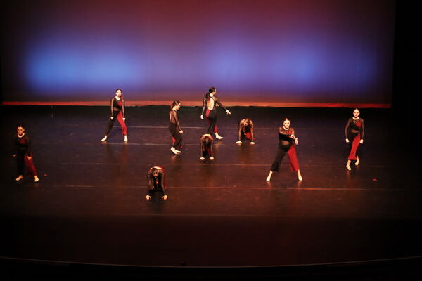 Keywords: Sofia_C; Georgia_C; Abby_H; Lauren_H; Halie_J; Olivia_K; Rosie_K; Jessica_M; Ella_S