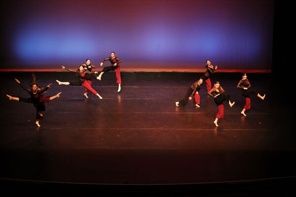 Keywords: Sofia_C; Georgia_C; Abby_H; Lauren_H; Halie_J; Olivia_K; Rosie_K; Jessica_M; Ella_S