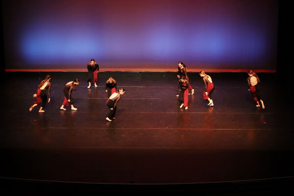 Keywords: Sofia_C; Georgia_C; Abby_H; Lauren_H; Halie_J; Olivia_K; Rosie_K; Jessica_M; Ella_S