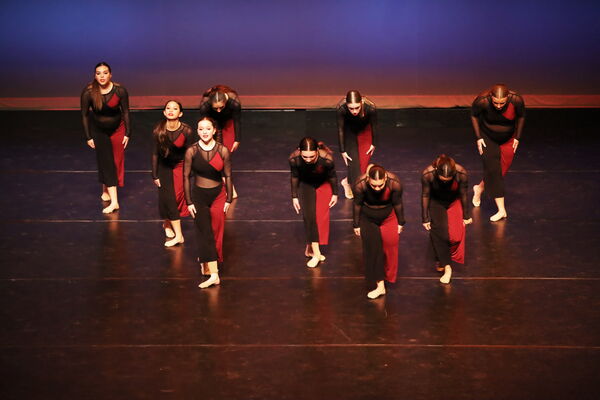 Keywords: Sofia_C; Georgia_C; Abby_H; Lauren_H; Halie_J; Olivia_K; Rosie_K; Jessica_M; Ella_S