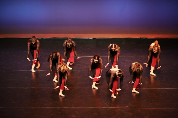 Keywords: Sofia_C; Georgia_C; Abby_H; Lauren_H; Halie_J; Olivia_K; Rosie_K; Jessica_M; Ella_S