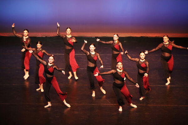 Keywords: Sofia_C; Georgia_C; Abby_H; Lauren_H; Halie_J; Olivia_K; Rosie_K; Jessica_M; Ella_S