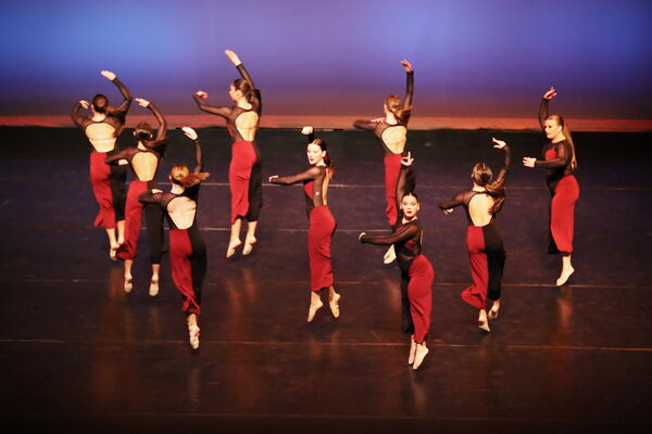 Keywords: Sofia_C; Georgia_C; Abby_H; Lauren_H; Halie_J; Olivia_K; Rosie_K; Jessica_M; Ella_S