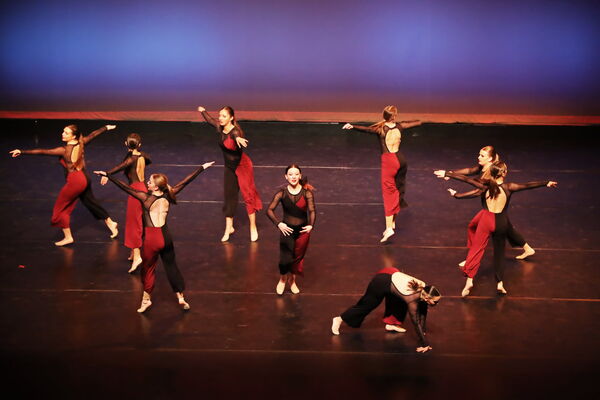 Keywords: Sofia_C; Georgia_C; Abby_H; Lauren_H; Halie_J; Olivia_K; Rosie_K; Jessica_M; Ella_S