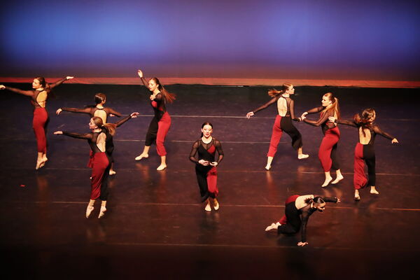 Keywords: Sofia_C; Georgia_C; Abby_H; Lauren_H; Halie_J; Olivia_K; Rosie_K; Jessica_M; Ella_S