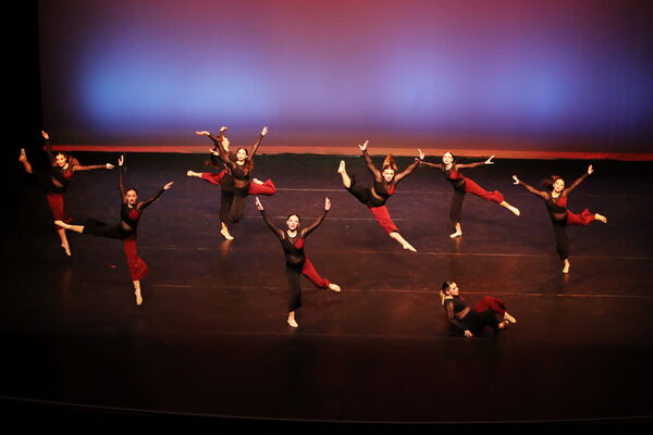 Keywords: Sofia_C; Georgia_C; Abby_H; Lauren_H; Halie_J; Olivia_K; Rosie_K; Jessica_M; Ella_S