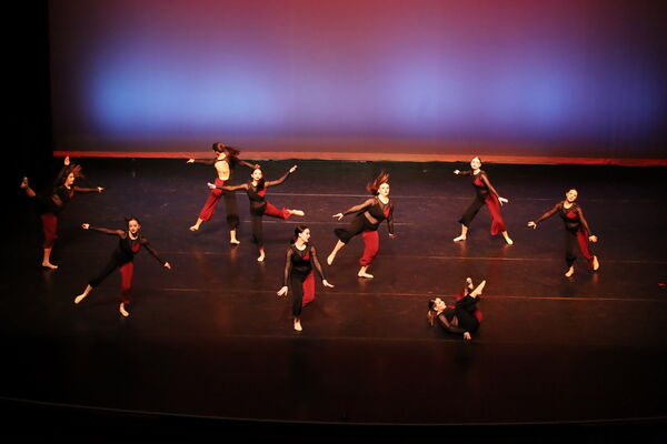 Keywords: Sofia_C; Georgia_C; Abby_H; Lauren_H; Halie_J; Olivia_K; Rosie_K; Jessica_M; Ella_S