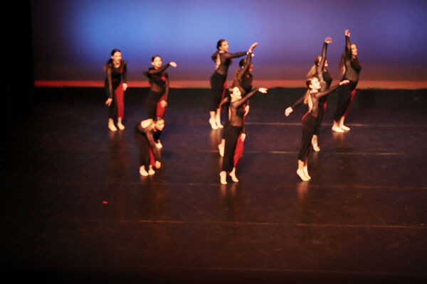 Keywords: Sofia_C; Georgia_C; Abby_H; Lauren_H; Halie_J; Olivia_K; Rosie_K; Jessica_M; Ella_S