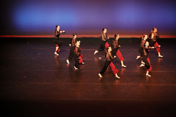 Keywords: Sofia_C; Georgia_C; Abby_H; Lauren_H; Halie_J; Olivia_K; Rosie_K; Jessica_M; Ella_S