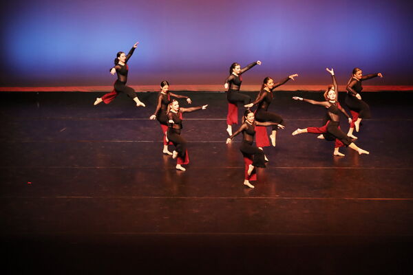 Keywords: Sofia_C; Georgia_C; Abby_H; Lauren_H; Halie_J; Olivia_K; Rosie_K; Jessica_M; Ella_S