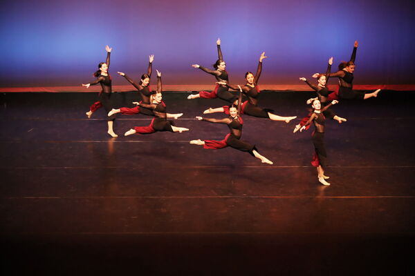 Keywords: Sofia_C; Georgia_C; Abby_H; Lauren_H; Halie_J; Olivia_K; Rosie_K; Jessica_M; Ella_S