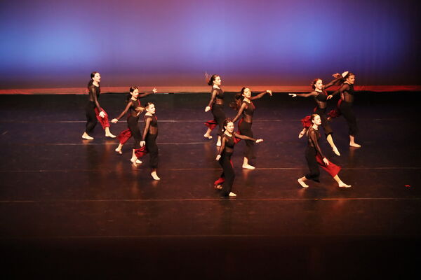 Keywords: Sofia_C; Georgia_C; Abby_H; Lauren_H; Halie_J; Olivia_K; Rosie_K; Jessica_M; Ella_S