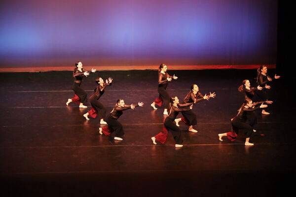 Keywords: Sofia_C; Georgia_C; Abby_H; Lauren_H; Halie_J; Olivia_K; Rosie_K; Jessica_M; Ella_S