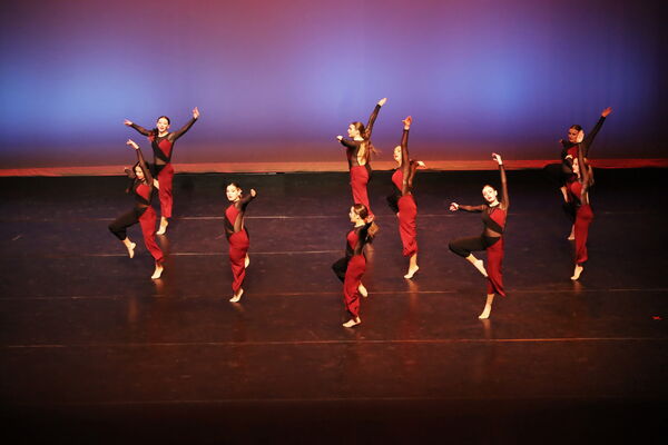 Keywords: Sofia_C; Georgia_C; Abby_H; Lauren_H; Halie_J; Olivia_K; Rosie_K; Jessica_M; Ella_S