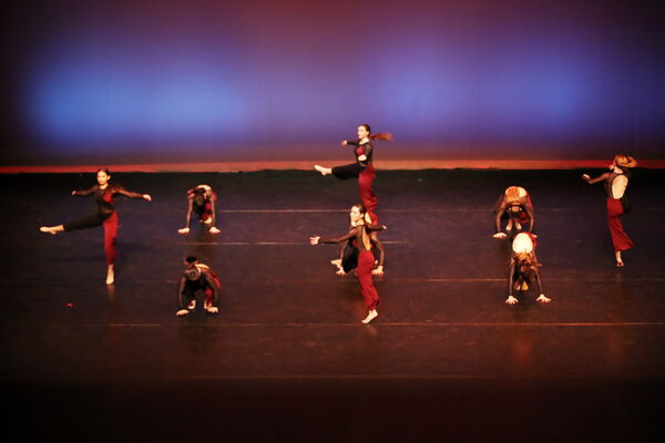 Keywords: Sofia_C; Georgia_C; Abby_H; Lauren_H; Halie_J; Olivia_K; Rosie_K; Jessica_M; Ella_S