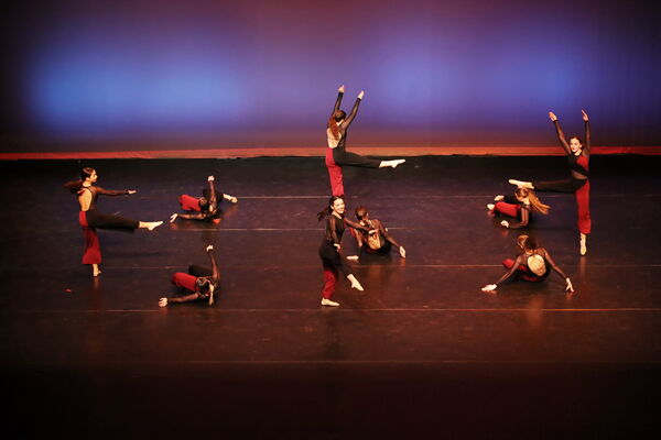 Keywords: Sofia_C; Georgia_C; Abby_H; Lauren_H; Halie_J; Olivia_K; Rosie_K; Jessica_M; Ella_S