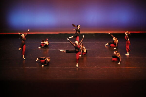 Keywords: Sofia_C; Georgia_C; Abby_H; Lauren_H; Halie_J; Olivia_K; Rosie_K; Jessica_M; Ella_S