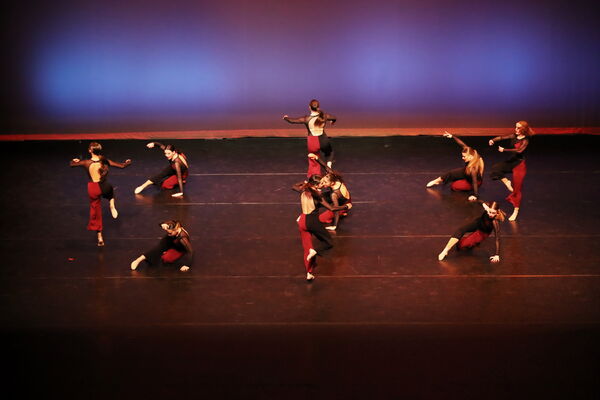 Keywords: Sofia_C; Georgia_C; Abby_H; Lauren_H; Halie_J; Olivia_K; Rosie_K; Jessica_M; Ella_S