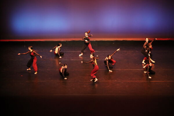 Keywords: Sofia_C; Georgia_C; Abby_H; Lauren_H; Halie_J; Olivia_K; Rosie_K; Jessica_M; Ella_S