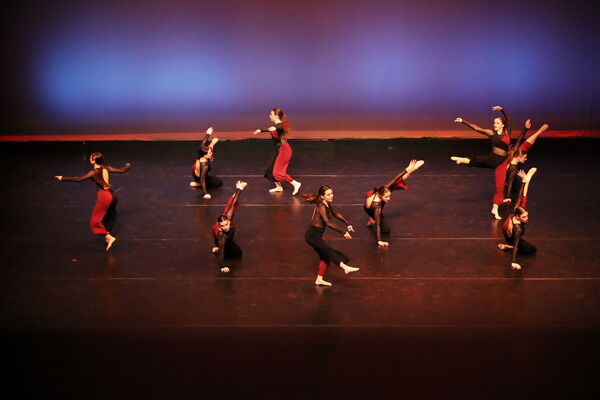 Keywords: Sofia_C; Georgia_C; Abby_H; Lauren_H; Halie_J; Olivia_K; Rosie_K; Jessica_M; Ella_S