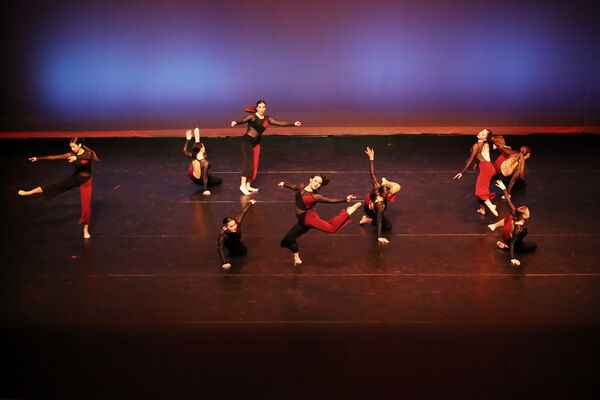 Keywords: Sofia_C; Georgia_C; Abby_H; Lauren_H; Halie_J; Olivia_K; Rosie_K; Jessica_M; Ella_S