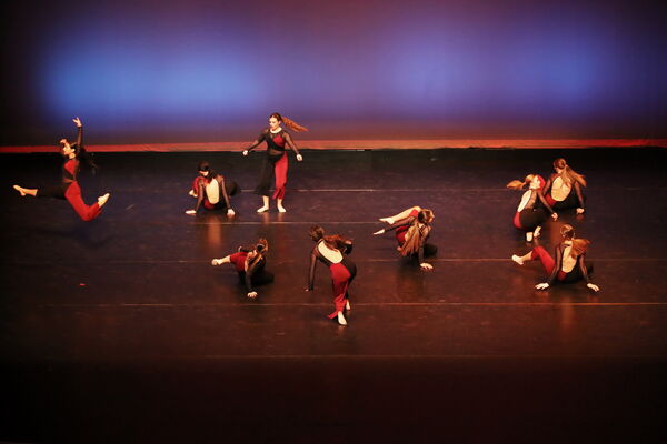 Keywords: Sofia_C; Georgia_C; Abby_H; Lauren_H; Halie_J; Olivia_K; Rosie_K; Jessica_M; Ella_S