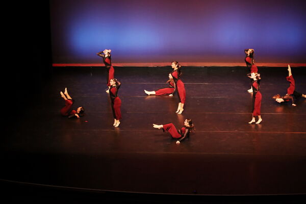 Keywords: Sofia_C; Georgia_C; Abby_H; Lauren_H; Halie_J; Olivia_K; Rosie_K; Jessica_M; Ella_S