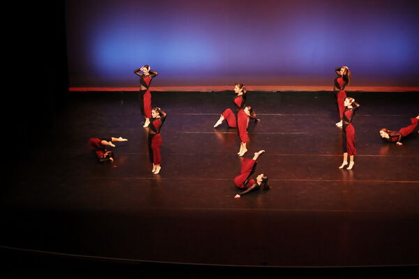 Keywords: Sofia_C; Georgia_C; Abby_H; Lauren_H; Halie_J; Olivia_K; Rosie_K; Jessica_M; Ella_S