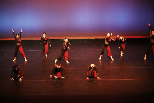 Keywords: Sofia_C; Georgia_C; Abby_H; Lauren_H; Halie_J; Olivia_K; Rosie_K; Jessica_M; Ella_S