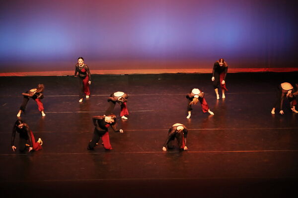 Keywords: Sofia_C; Georgia_C; Abby_H; Lauren_H; Halie_J; Olivia_K; Rosie_K; Jessica_M; Ella_S