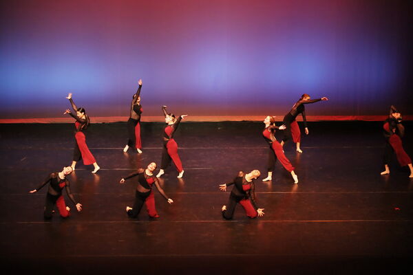 Keywords: Sofia_C; Georgia_C; Abby_H; Lauren_H; Halie_J; Olivia_K; Rosie_K; Jessica_M; Ella_S