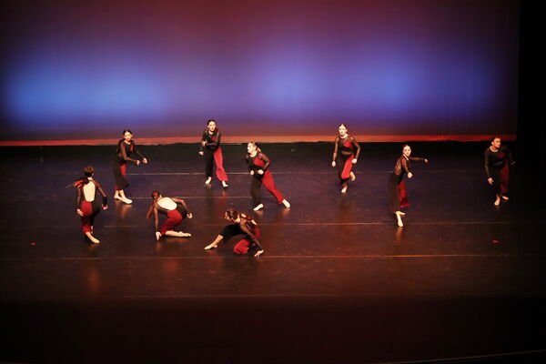 Keywords: Sofia_C; Georgia_C; Abby_H; Lauren_H; Halie_J; Olivia_K; Rosie_K; Jessica_M; Ella_S