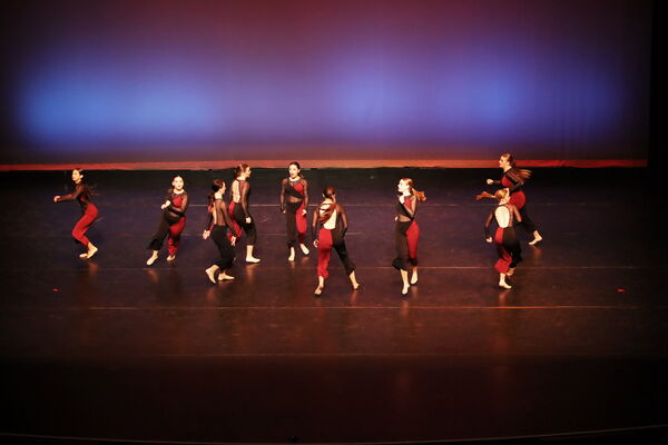 Keywords: Sofia_C; Georgia_C; Abby_H; Lauren_H; Halie_J; Olivia_K; Rosie_K; Jessica_M; Ella_S