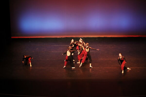 Keywords: Sofia_C; Georgia_C; Abby_H; Lauren_H; Halie_J; Olivia_K; Rosie_K; Jessica_M; Ella_S