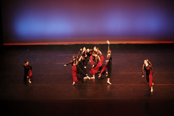 Keywords: Sofia_C; Georgia_C; Abby_H; Lauren_H; Halie_J; Olivia_K; Rosie_K; Jessica_M; Ella_S