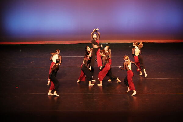 Keywords: Sofia_C; Georgia_C; Abby_H; Lauren_H; Halie_J; Olivia_K; Rosie_K; Jessica_M; Ella_S