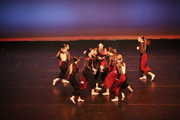 Keywords: Sofia_C; Georgia_C; Abby_H; Lauren_H; Halie_J; Olivia_K; Rosie_K; Jessica_M; Ella_S