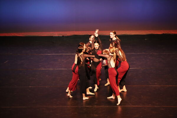 Keywords: Sofia_C; Georgia_C; Abby_H; Lauren_H; Halie_J; Olivia_K; Rosie_K; Jessica_M; Ella_S