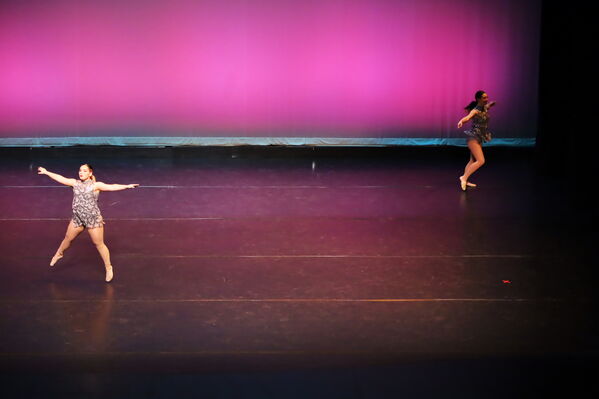 Keywords: Abby_H;Sofia_C