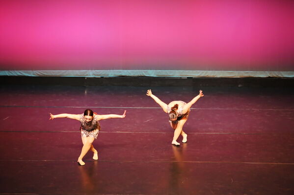 Keywords: Abby_H;Sofia_C