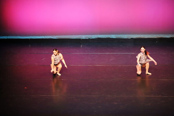 Keywords: Abby_H;Sofia_C