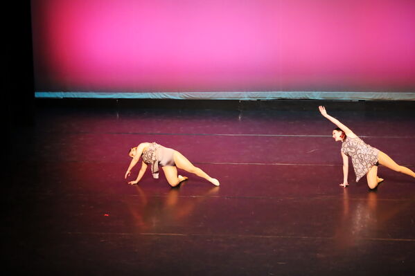 Keywords: Abby_H;Sofia_C