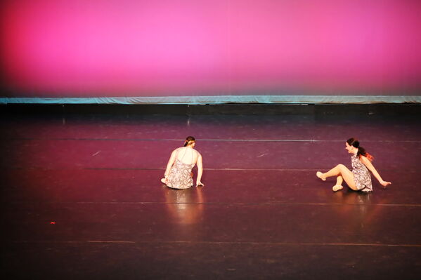 Keywords: Abby_H;Sofia_C