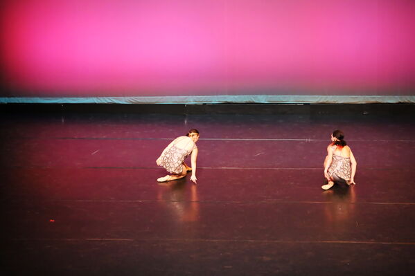 Keywords: Abby_H;Sofia_C