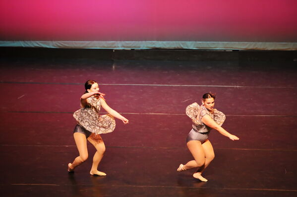 Keywords: Abby_H;Sofia_C