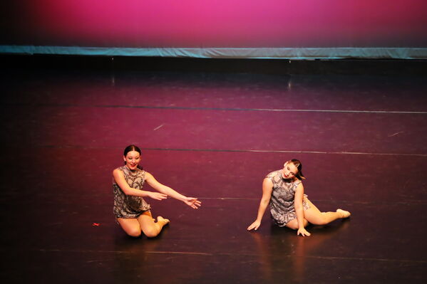 Keywords: Abby_H;Sofia_C