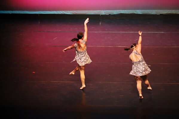 Keywords: Abby_H;Sofia_C