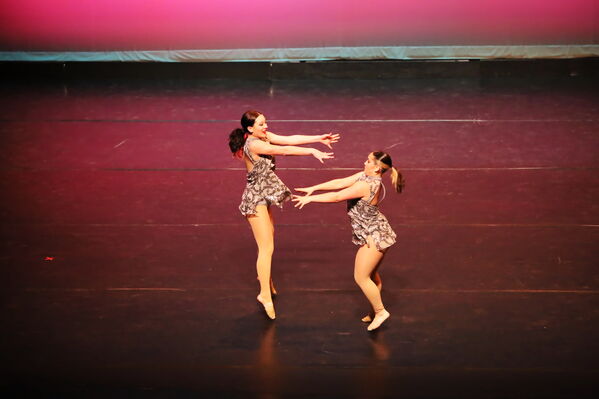 Keywords: Abby_H;Sofia_C