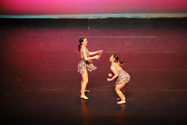 Keywords: Abby_H;Sofia_C